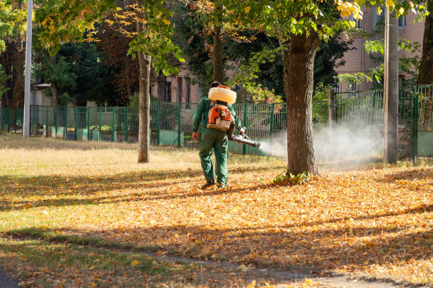 Professional Pest Control in Lakewood, NY
